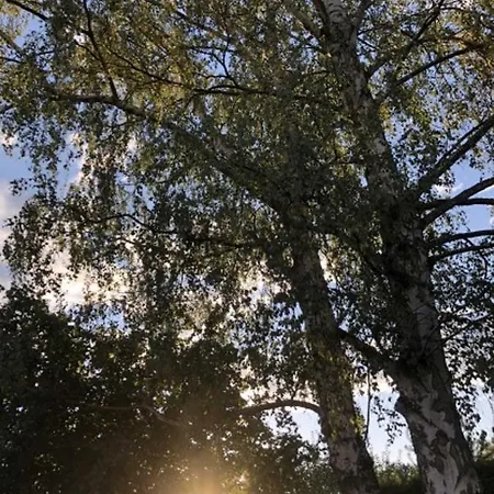 Apartment Birkenblick Owwe *