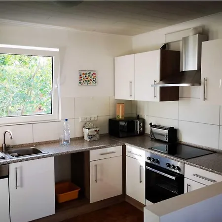 Birkenblick Owwe Apartment *