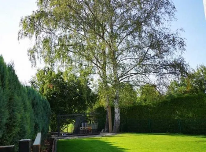 Διαμέρισμα Birkenblick Owwe