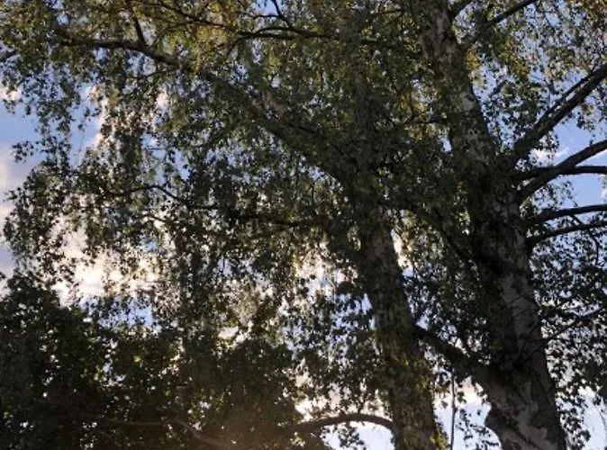 Διαμέρισμα Birkenblick Owwe *